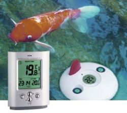 Funkthermometer