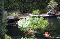 Schwimmende Pflanzinsel