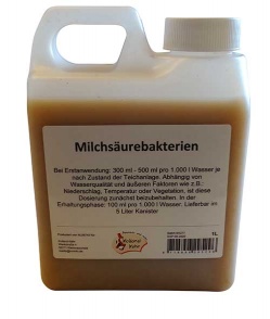 1 Liter Milchsäurebakterien