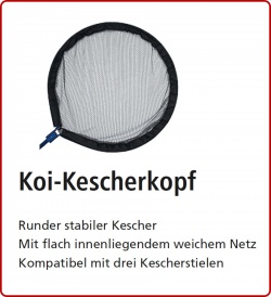 KOI - KESCHERKOPF