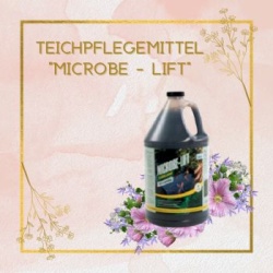 TEICHPFLEGEMITTEL MICROBE-LIFT2