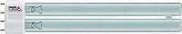 Ersatzlampen PL von Philips