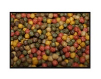 KOIFUTTER 6mm, Farbenmix, Ganzjahresfutter für Koi und Teichfische