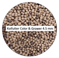 KOIFUTTER Color & Grower 4.5 mm Korn