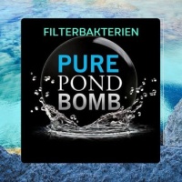 FILTERBAKTERIEN 