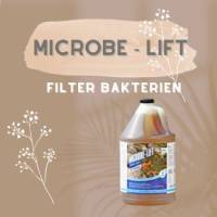 MICROBE-LIFT SUPER START Filterbakterien